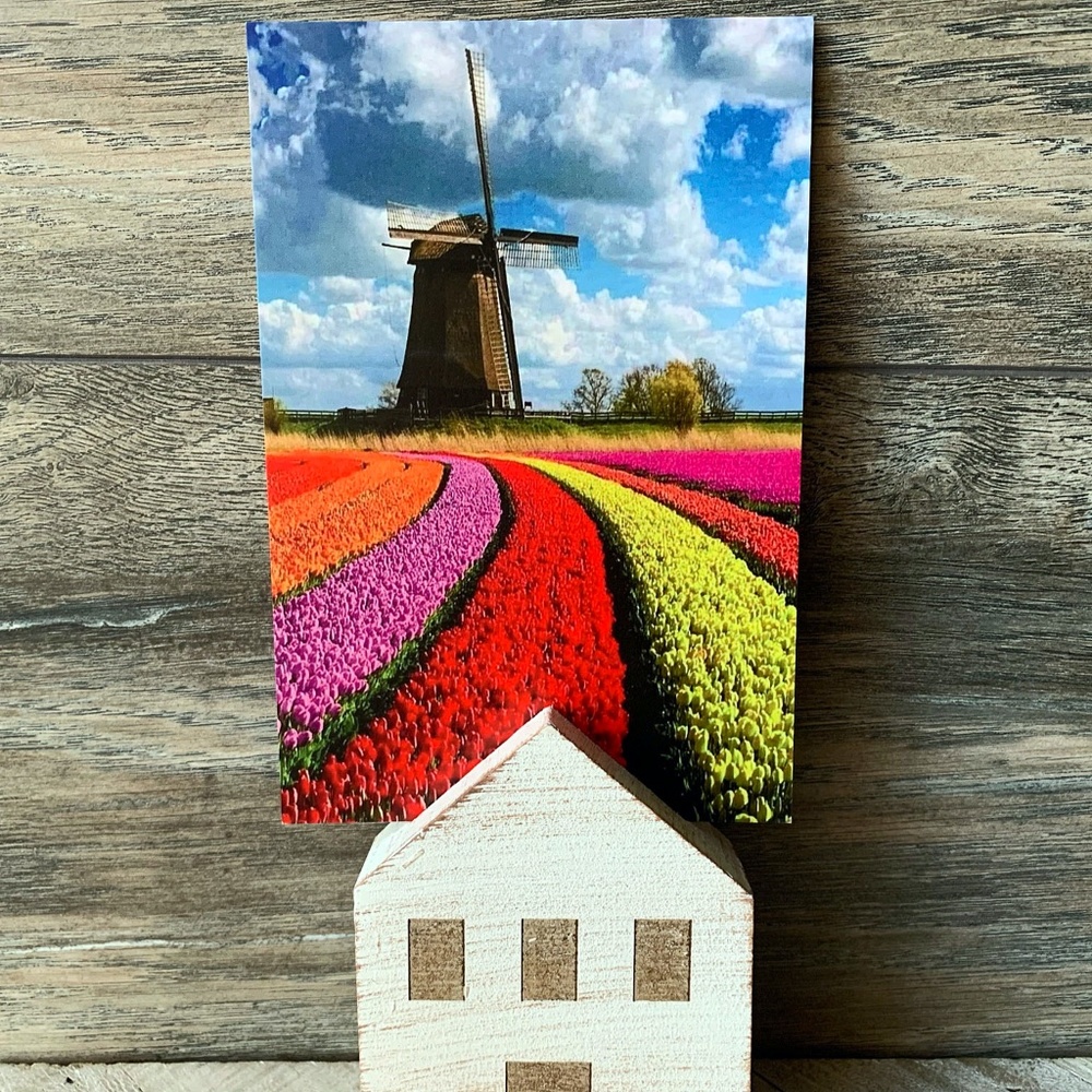25 Standard Postcards with 25 envelopes.